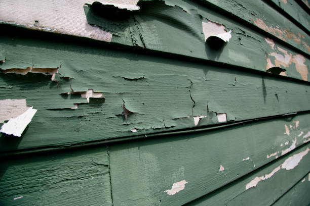 Best Commercial Junk Removal  in Lakewood, NY